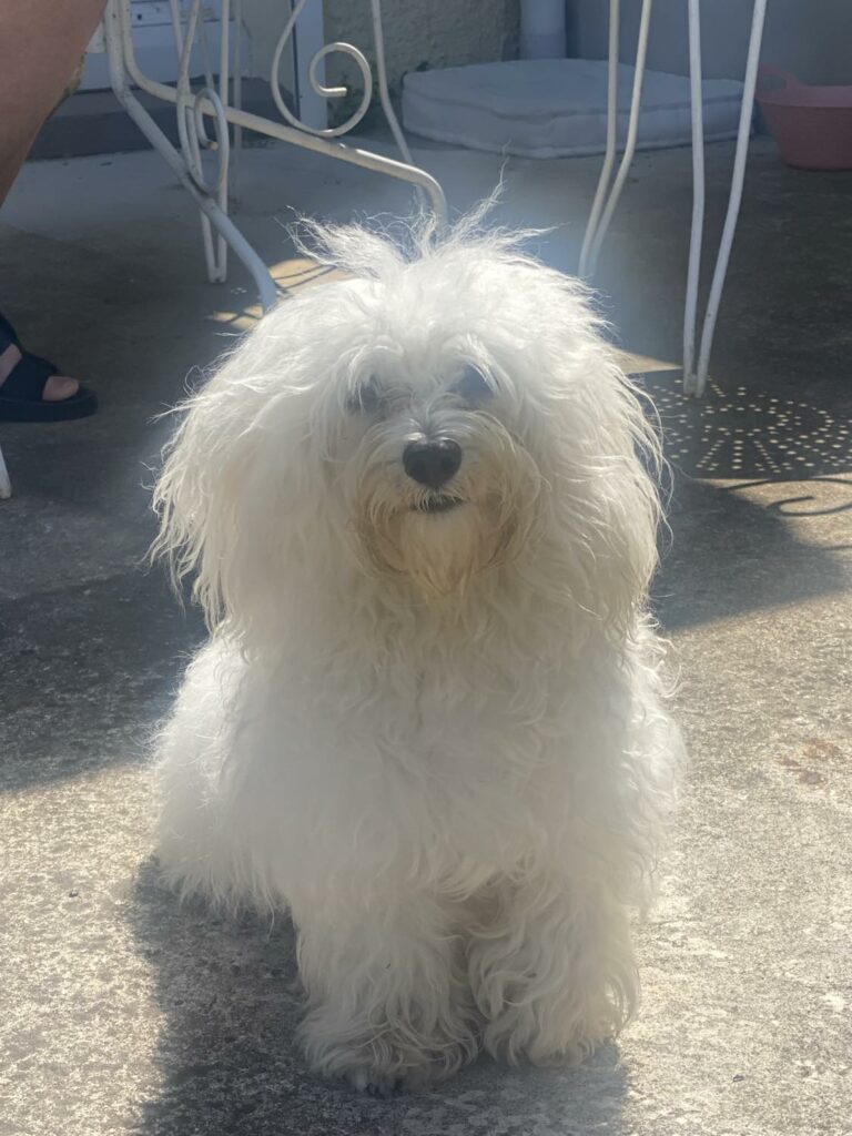 Malibu